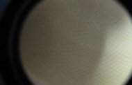 MD